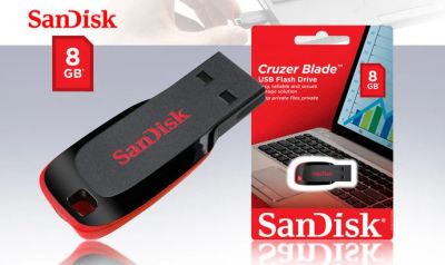 Лот: 12105761. Фото: 1. Флеш-накопитель 8Gb USB 2.0 SanDisk... USB-флеш карты