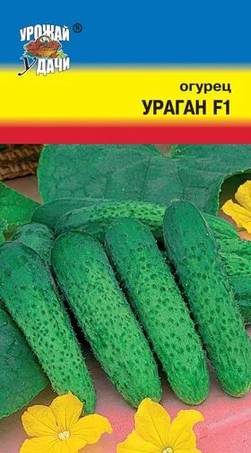 Лот: 10984258. Фото: 1. Семена огурца "Ураган" F1 - скороспелый... Овощи