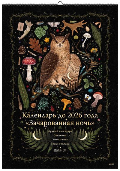 Лот: 24464762. Фото: 1. Календарь до 2026 года «Зачарованная... Другое (литература, книги)
