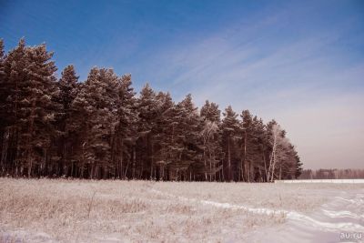 Лот: 13787935. Фото: 1. Продается участок 6 сот. , цена... Земельные участки