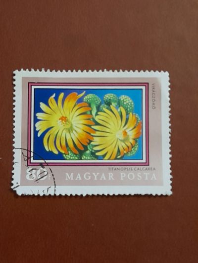 Лот: 19522277. Фото: 1. Марка 8. Марки