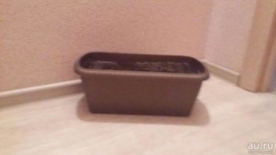 Лот: 9326567. Фото: 1. Горшок. Кашпо, горшки, вазоны для цветов