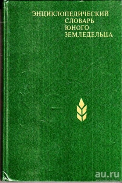 Лот: 12290151. Фото: 1. Энциклопедический словарь юного... Справочники
