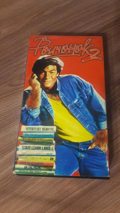 Лот: 22489037. Фото: 1. VHS-Видеокассета. Волчонок 2... Видеозаписи, фильмы