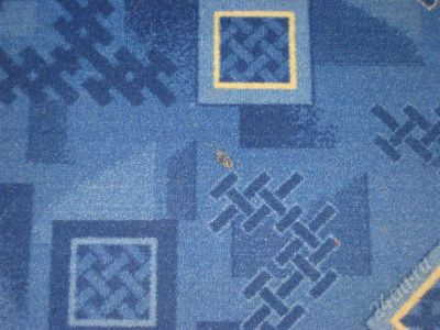 Лот: 712956. Фото: 1. ковролин 2,60х3,05 м. Ковры