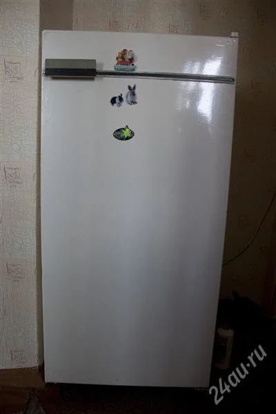Лот: 1015289. Фото: 1. Холодильник Бирюса-3. Холодильники, морозильные камеры