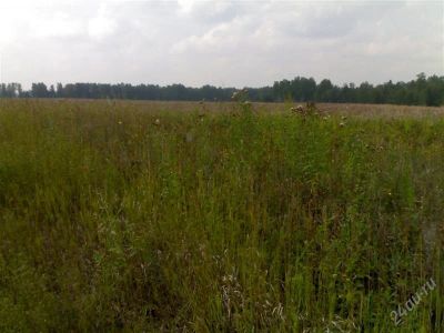 Лот: 866938. Фото: 1. Недвижимость. Сельхозугодие. Земельные участки