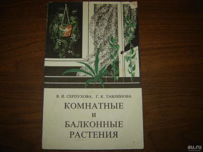 Лот: 8326126. Фото: 1. Комнатные и балконные растения... Сад, огород, цветы