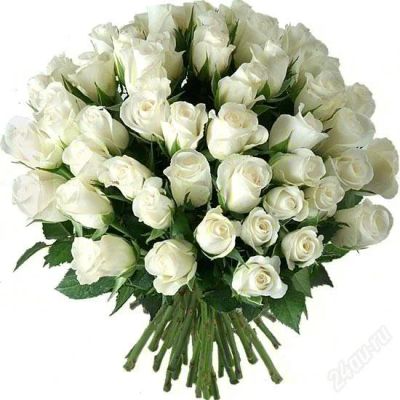Лот: 2811290. Фото: 1. Букет из 51 белой розы! Бесплатная... Другое (растения и животные)
