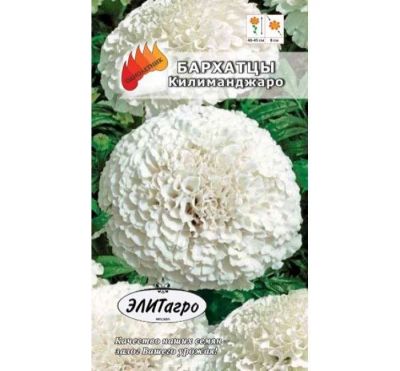 Лот: 11024221. Фото: 1. Бархатцы Килиманджаро белые 0... Садовые цветы