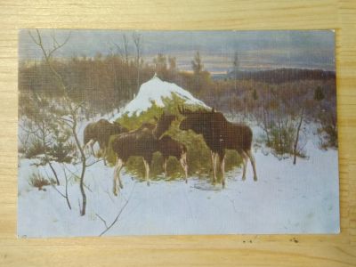 Лот: 17231920. Фото: 1. Открытка Охота 6108 Степанов... Открытки, конверты