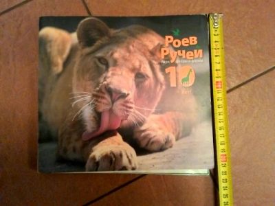Лот: 7493629. Фото: 1. Книга. Художественная для детей