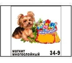 Лот: 10552027. Фото: 1. Магнит Собака йорк с мешком (скрэтч... Магниты сувенирные