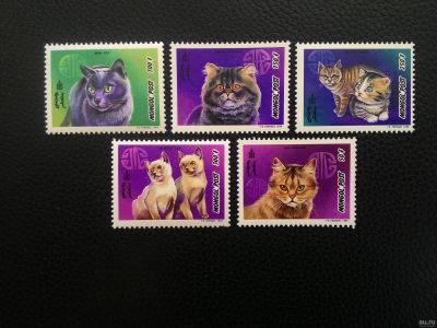 Лот: 13873328. Фото: 1. 1998. Монголия. Коты. нс. Марки