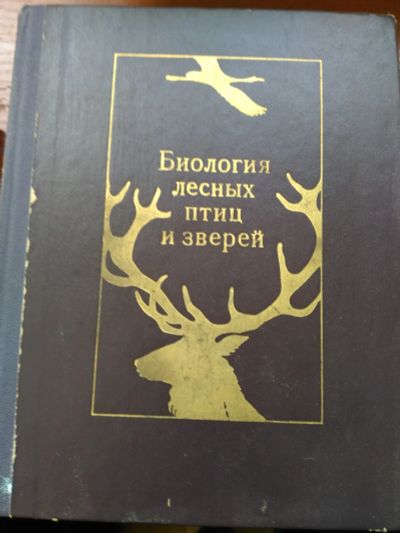 Лот: 20022186. Фото: 1. Биология лесных птиц и зверей. Другое (справочная литература)