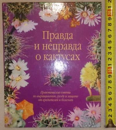 Лот: 7148719. Фото: 1. Правда и неправда о кактусах... Сад, огород, цветы