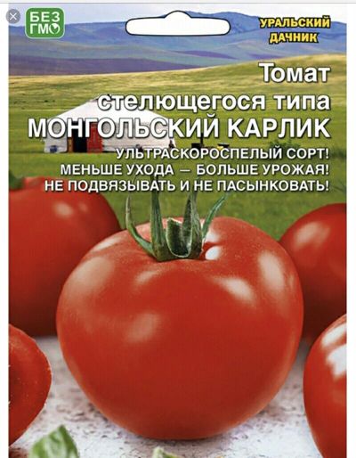 Лот: 15868143. Фото: 1. рассада томат "Монгольский карлик... Овощи