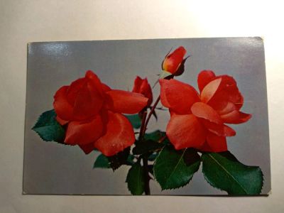 Лот: 12578246. Фото: 1. Открытка СССР 1976. Открытки, конверты