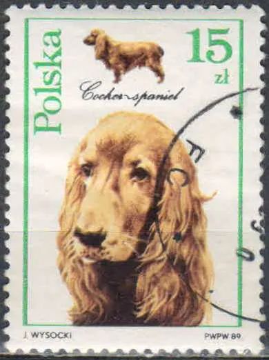 Лот: 25055821. Фото: 1. 1989. Польша. Собаки. н.с. № 3201. Марки