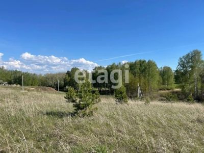 Лот: 25297288. Фото: 1. участок , садовые участки Штаны... Земельные участки