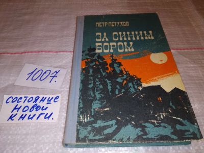 Лот: 8202707. Фото: 1. Петухов Петр, За синим бором... Художественная