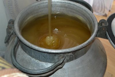Лот: 3263142. Фото: 1. Мед ( мёд ) урожая 2016 года... Мёд, продукты пчеловодства
