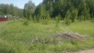 Лот: 1814216. Фото: 1. земельный участок 16 соток. Земельные участки