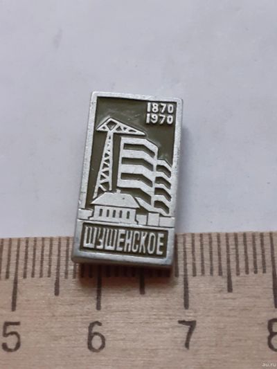 Лот: 18277062. Фото: 1. (№11577) значки Шушенское 100... Юбилейные