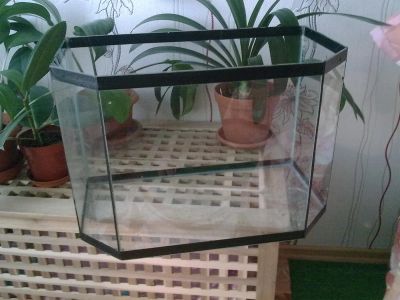 Лот: 3850779. Фото: 1. Аквариум. Аквариумы, террариумы