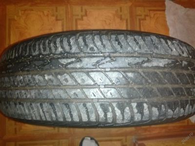 Лот: 3596465. Фото: 1. Toyo. Шины