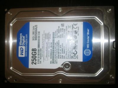 Лот: 5131027. Фото: 1. Жесткий диск 250Gb WD Caviar Blue... Жёсткие диски (HDD)