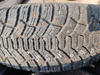Лот: 25071113. Фото: 1. Cordiant Polar 205/60 R15. Шины