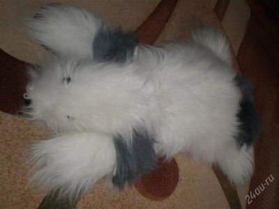 Лот: 2105023. Фото: 1. собачка. Мягкие