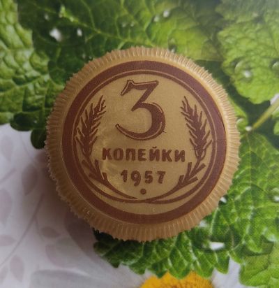 Лот: 19818989. Фото: 1. Пробка ПЭТ. Бутылки, пробки, этикетки