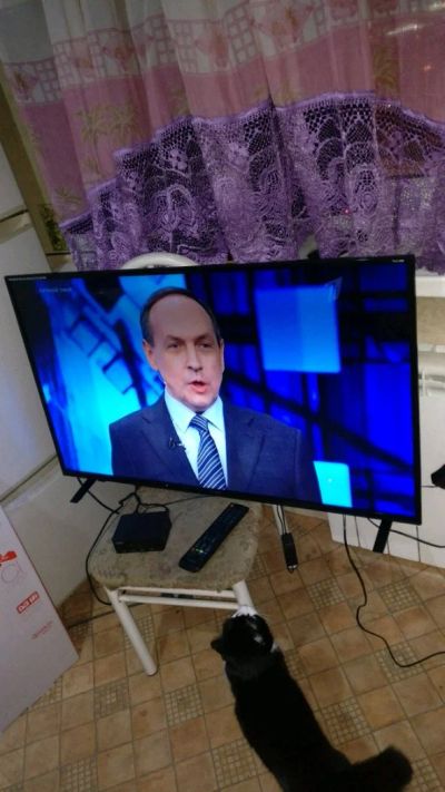 Лот: 12672517. Фото: 1. Телевизор в идеале 43'' 109см... Телевизоры
