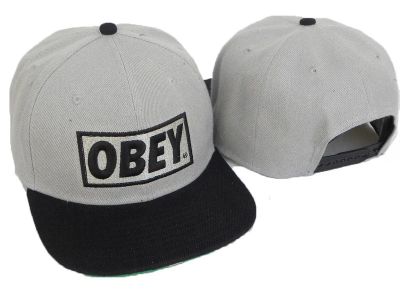 Лот: 3582815. Фото: 1. Кепка Snapback Obey Gray. Головные уборы