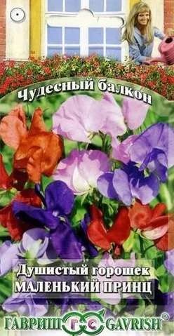 Лот: 11024265. Фото: 1. Душистый горошек Маленький принц... Садовые цветы