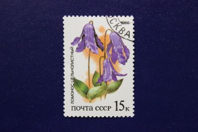 Лот: 6855903. Фото: 1. Почтовая марка №4067 в коллекцию. Марки