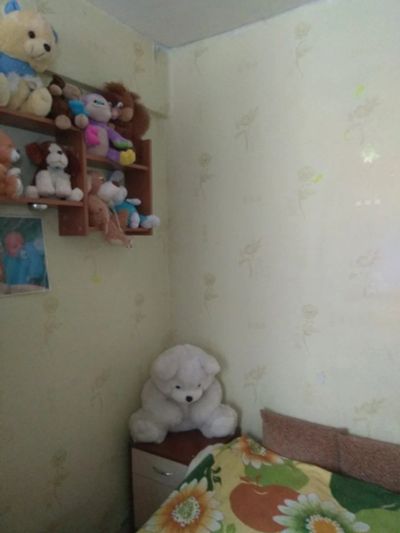 Лот: 15081760. Фото: 1. продам квартиру на первом этаже... Квартиры, студии