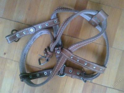 Лот: 1338571. Фото: 1. Шлейка. Ошейники, одежда, конное снаряжение