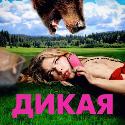 Лот: 24291483. Фото: 1. Дикая. Видеозаписи, фильмы