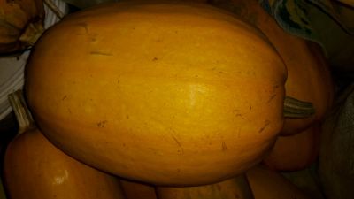 Лот: 8859146. Фото: 1. Кабачок=). Овощи, фрукты, зелень