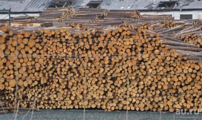 Лот: 9105817. Фото: 1. Продам пиловочник кедр. Древесина, пиломатериал