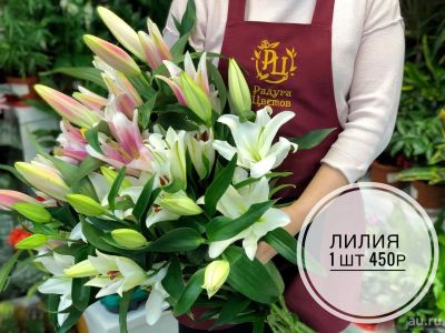 Лот: 13382322. Фото: 1. Лот № 2 Лилии в Ассортименте от... Свежие цветы