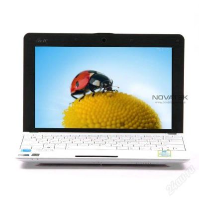 Лот: 997630. Фото: 1. Новый белый Asus eee 1001pxd Intel... Ноутбуки