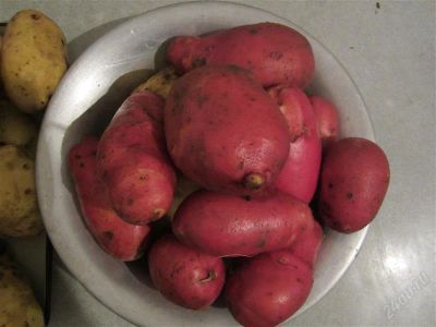 Лот: 3796116. Фото: 1. Картофель отборный "Ред Скарлетт... Картофель