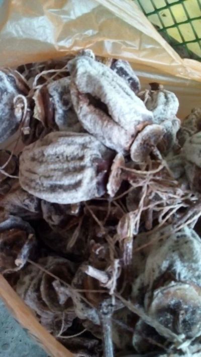 Лот: 11122104. Фото: 1. Хурма вяленая из Абхазии. Другое (продукты)