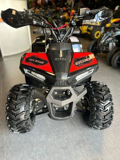 Лот: 24065103. Фото: 1. Квадроцикл FXMOTO MUDHAWK 110. Снегоходы, квадроциклы