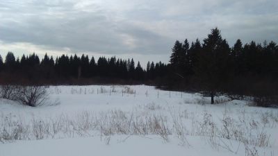 Лот: 9201569. Фото: 1. Дача 40м2 на участке 5 соток. Дачи