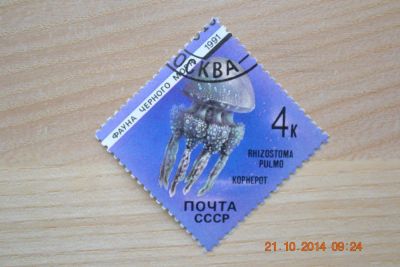 Лот: 4646012. Фото: 1. Марка России 1991г. из серии фауна... Марки